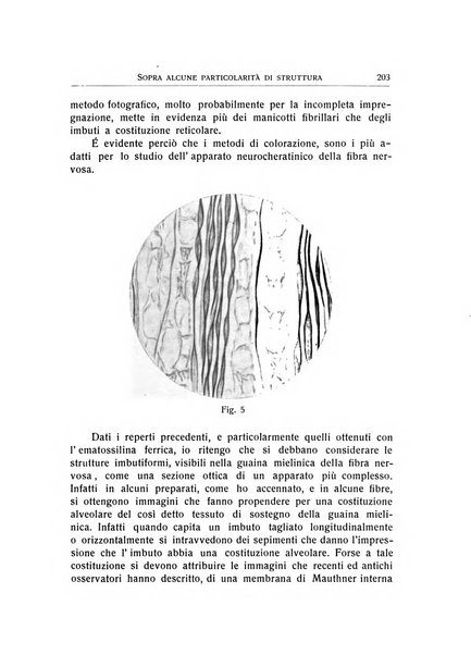 L'ospedale psichiatrico rivista di psichiatria, neurologia e scienze affini