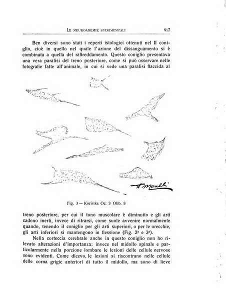 L'ospedale psichiatrico rivista di psichiatria, neurologia e scienze affini