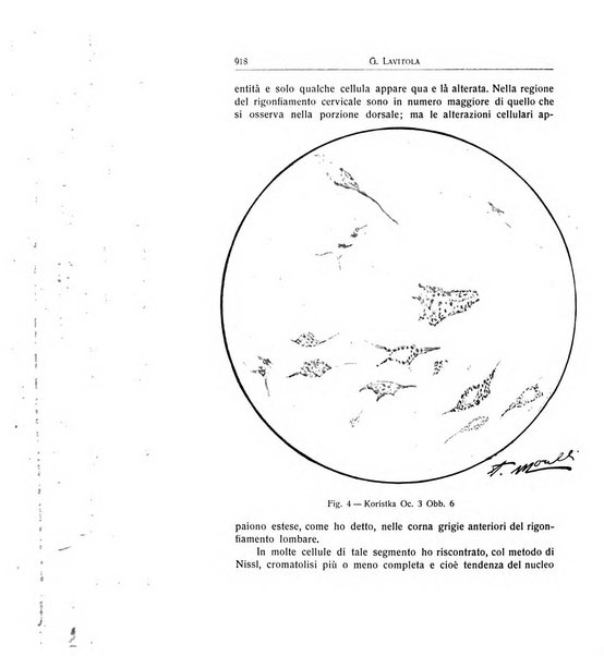 L'ospedale psichiatrico rivista di psichiatria, neurologia e scienze affini