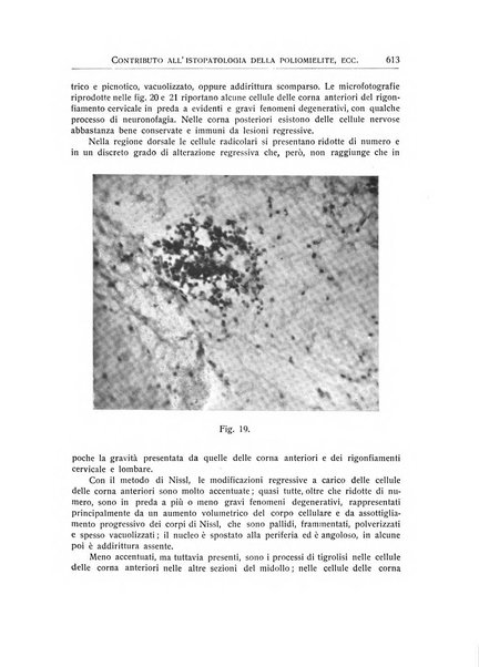 L'ospedale psichiatrico rivista di psichiatria, neurologia e scienze affini