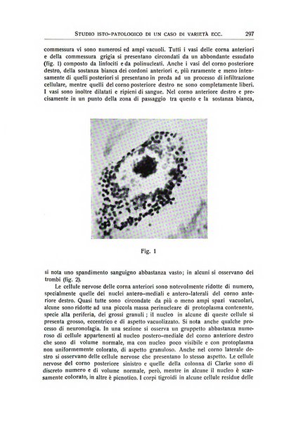 L'ospedale psichiatrico rivista di psichiatria, neurologia e scienze affini