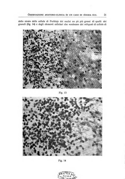 L'ospedale psichiatrico rivista di psichiatria, neurologia e scienze affini