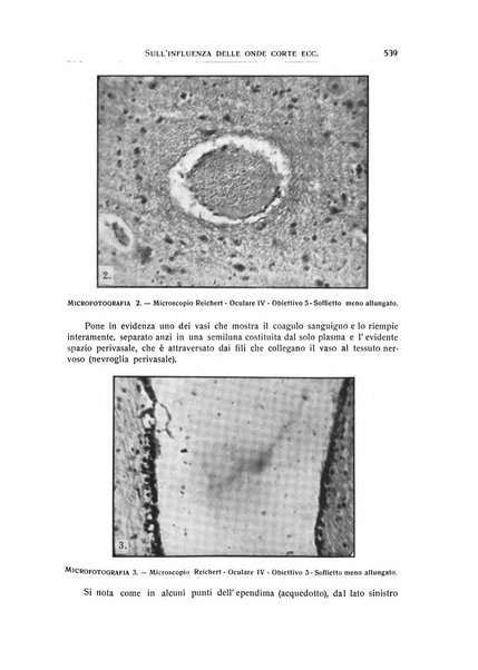 L'ospedale psichiatrico rivista di psichiatria, neurologia e scienze affini