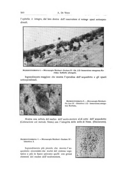 L'ospedale psichiatrico rivista di psichiatria, neurologia e scienze affini