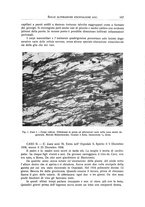 giornale/NAP0109648/1941/unico/00000187