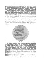 giornale/NAP0160688/1901-1904/unico/00000033
