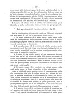 giornale/NAP0160688/1901-1904/unico/00000313