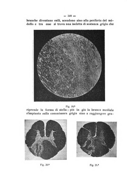 Annali di nevrologia