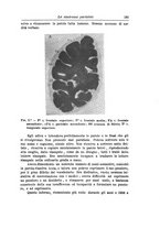 giornale/NAP0160688/1910/unico/00000187