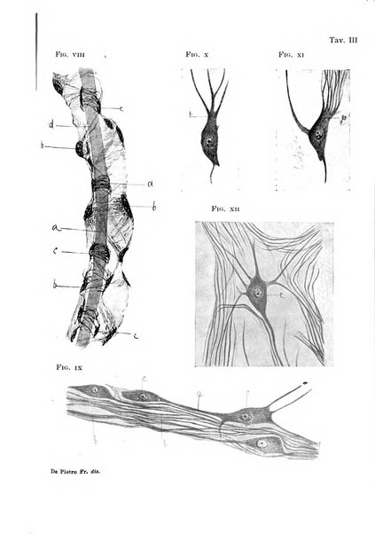 Annali di nevrologia