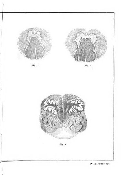 Annali di nevrologia