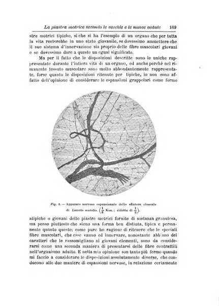 Annali di nevrologia