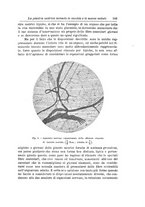 giornale/NAP0160688/1912/unico/00000243