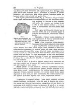 giornale/NAP0160688/1913/unico/00000298