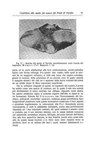 giornale/NAP0160688/1914/unico/00000037