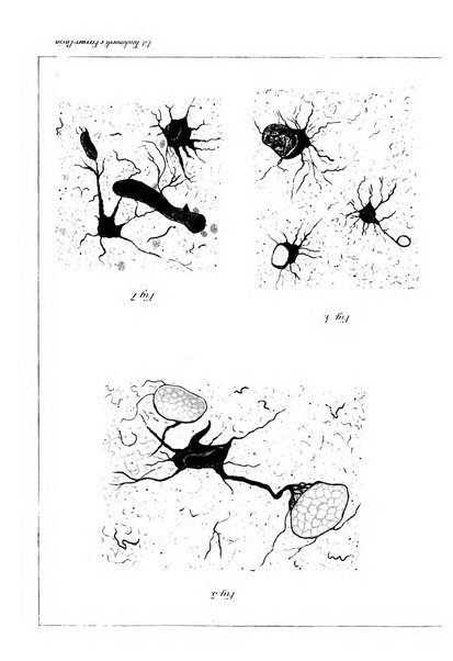 Annali di nevrologia