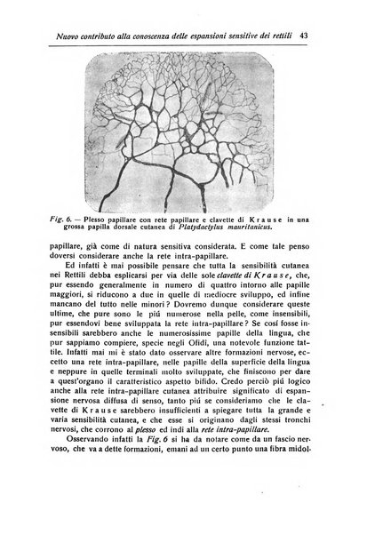 Annali di nevrologia