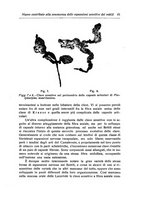 giornale/NAP0160688/1915-1916/unico/00000063