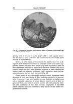 giornale/NAP0160688/1915-1916/unico/00000064