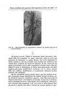 giornale/NAP0160688/1915-1916/unico/00000065