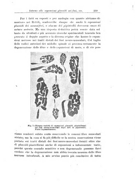 Annali di nevrologia