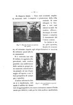 giornale/NAP0160744/1925/v.1/00000017