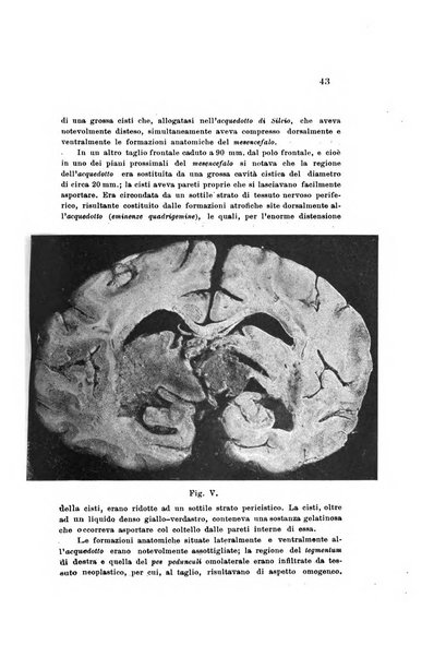 Nuova rivista di clinica ed assistenza psichiatrica e di terapia applicata