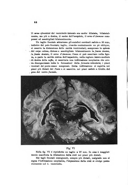 Nuova rivista di clinica ed assistenza psichiatrica e di terapia applicata