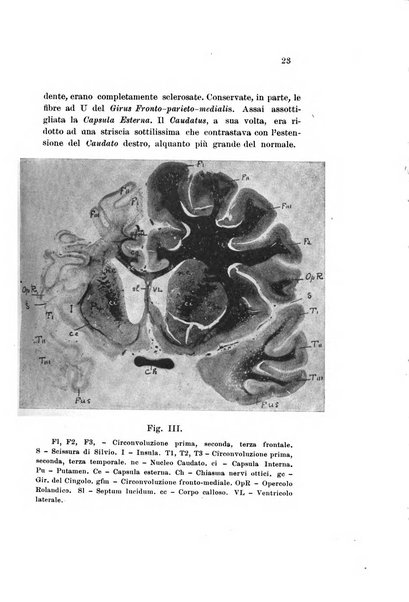 Nuova rivista di clinica ed assistenza psichiatrica e di terapia applicata