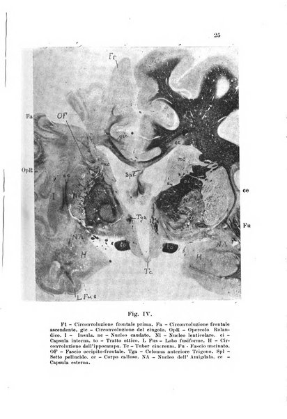 Nuova rivista di clinica ed assistenza psichiatrica e di terapia applicata