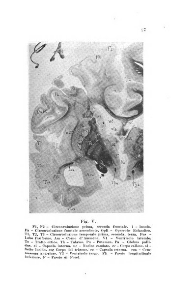 Nuova rivista di clinica ed assistenza psichiatrica e di terapia applicata