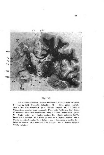 Nuova rivista di clinica ed assistenza psichiatrica e di terapia applicata