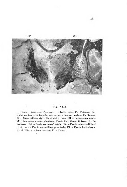 Nuova rivista di clinica ed assistenza psichiatrica e di terapia applicata