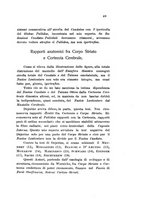 giornale/NAP0160744/1933-1934/unico/00000239