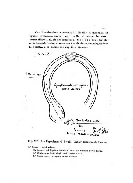 Nuova rivista di clinica ed assistenza psichiatrica e di terapia applicata