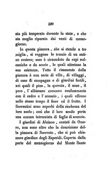 La cesta di fiori ore di passatempo per le dame