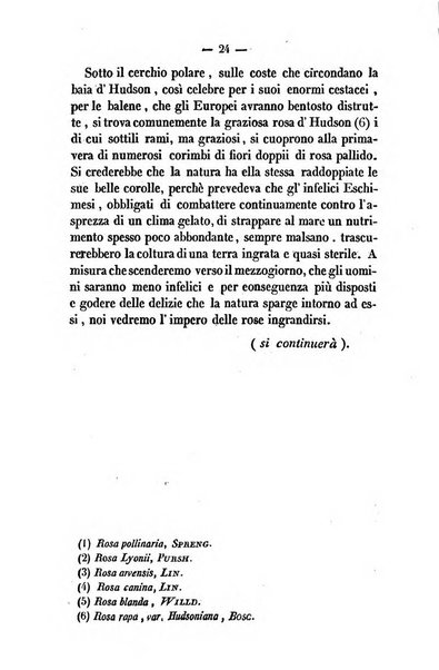 La cesta di fiori ore di passatempo per le dame