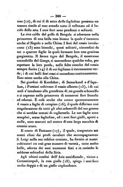 La cesta di fiori ore di passatempo per le dame