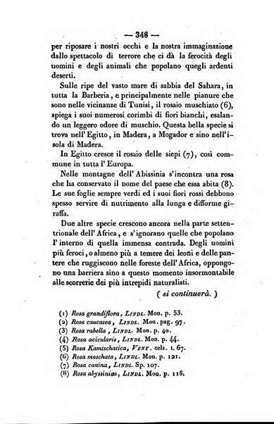 La cesta di fiori ore di passatempo per le dame