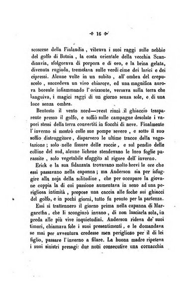 La cesta di fiori ore di passatempo per le dame