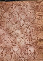 giornale/NAP0184992/1920/v.1/00000003