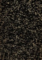 giornale/NAP0210582/1891/unico