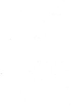 giornale/NAP0210582/1902/unico/00000124