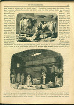 giornale/NAP0235206/1866/Febbraio/57