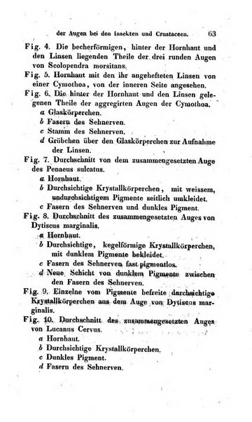 Archiv fur Anatomie und Physiologie