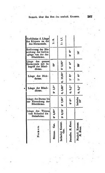 Archiv fur Anatomie und Physiologie