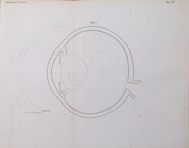 Archiv fur Anatomie und Physiologie