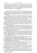 giornale/NAP0269721/1935/unico/00000021