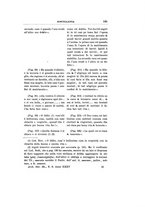 giornale/PAL0042082/1910-1911/unico/00000171