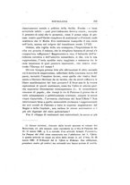 giornale/PAL0042082/1928/unico/00000229